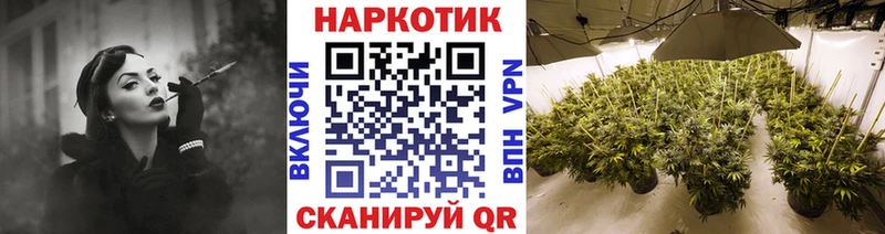 Где купить Иланский Галлюциногенные грибы Марихуана КОКАИН hydra ССЫЛКА ГАШИШ СК Меф