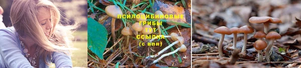 каннабис Бородино