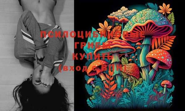 каннабис Бородино