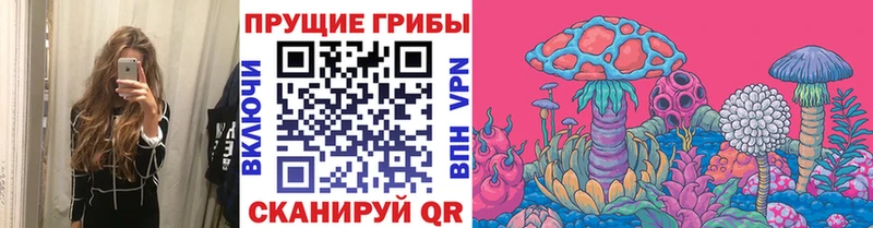Галлюциногенные грибы GOLDEN TEACHER Иланский