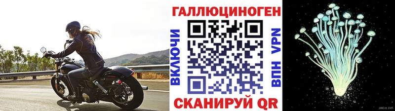 Галлюциногенные грибы GOLDEN TEACHER  Иланский 